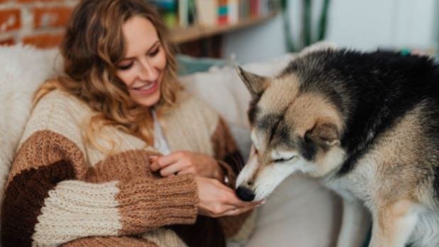 Keeping a dog