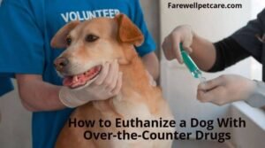 How to euthanize a dog with over-the-counter drugs