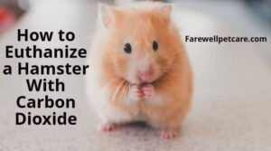 How to euthanize a hamster with carbon dioxide